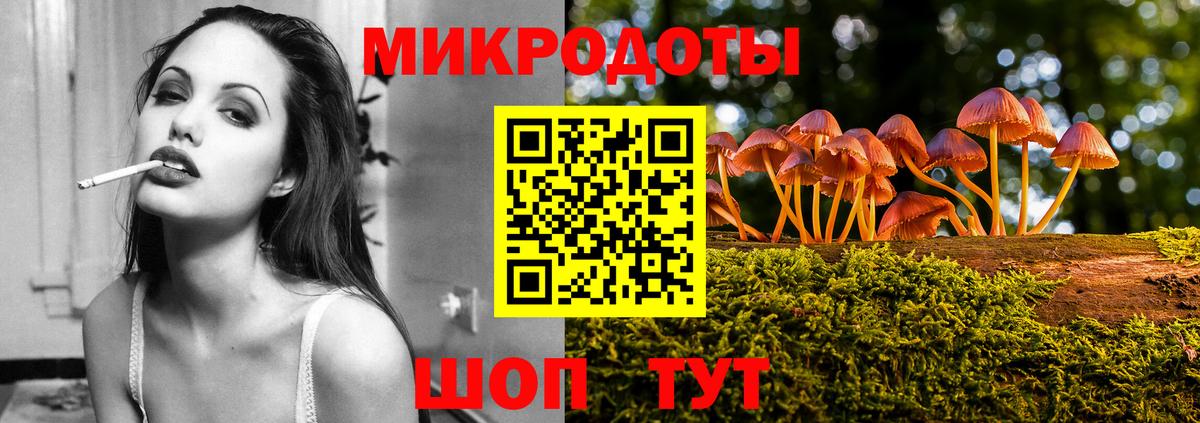 Галлюциногенные грибы Psilocybine cubensis Вышний Волочёк