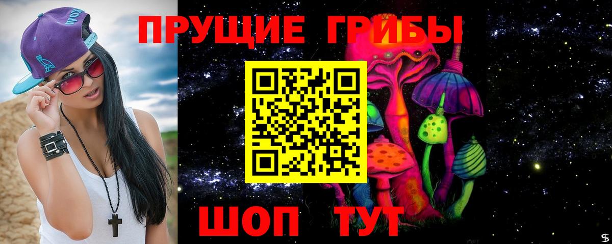 Вышний Волочёк  Псилоцибиновые грибы Psilocybe  Вход с VPN  Псилоцибиновые грибы Psilocybe 